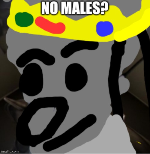 No males? | image tagged in no males | made w/ Imgflip meme maker