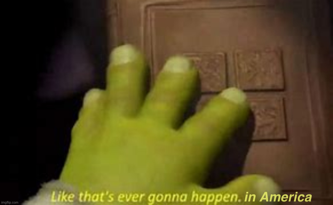 Like that’s ever gonna happen in America Blank Meme Template