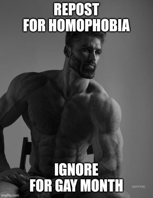 Giga Chad | REPOST FOR HOMOPHOBIA; IGNORE FOR GAY MONTH | image tagged in giga chad | made w/ Imgflip meme maker