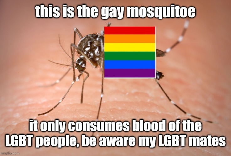 be safe my pals | this is the gay mosquitoe; it only consumes blood of the LGBT people, be aware my LGBT mates | image tagged in mosquito | made w/ Imgflip meme maker