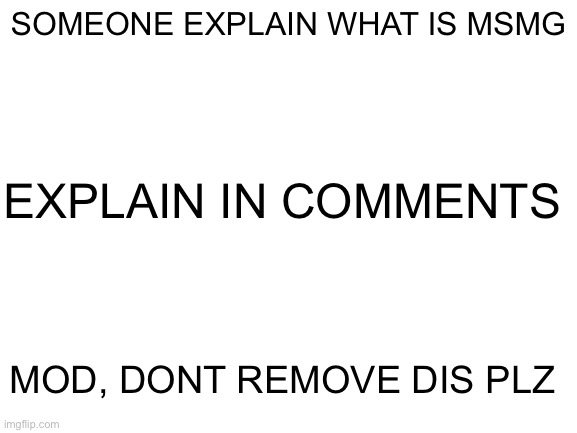 Blank White Template | SOMEONE EXPLAIN WHAT IS MSMG; EXPLAIN IN COMMENTS; MOD, DONT REMOVE DIS PLZ | image tagged in blank white template | made w/ Imgflip meme maker