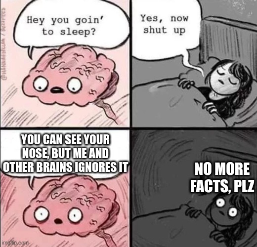More facts |  YOU CAN SEE YOUR NOSE, BUT ME AND OTHER BRAINS IGNORES IT; NO MORE FACTS, PLZ | image tagged in waking up brain,crazy,facts,crazy facts | made w/ Imgflip meme maker
