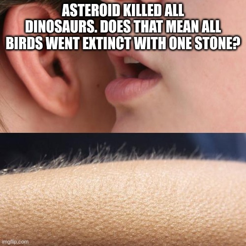 Bruh fact |  ASTEROID KILLED ALL DINOSAURS. DOES THAT MEAN ALL BIRDS WENT EXTINCT WITH ONE STONE? | image tagged in whisper and goosebumps,facts | made w/ Imgflip meme maker