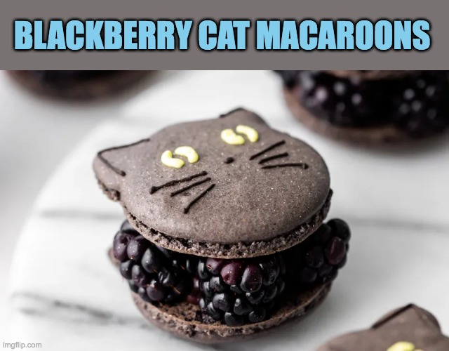 Blackberry Cat Macaroons | BLACKBERRY CAT MACAROONS | image tagged in macaroons | made w/ Imgflip meme maker