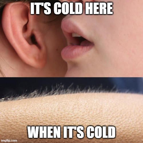 Cold Bois Should Look | IT'S COLD HERE; WHEN IT'S COLD | image tagged in whisper and goosebumps | made w/ Imgflip meme maker