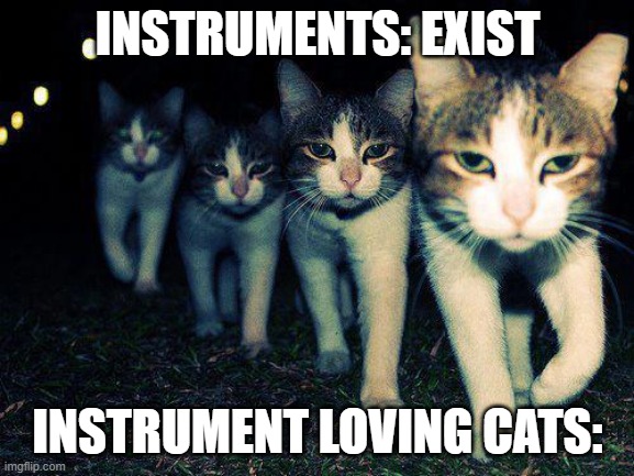 Pet Them | INSTRUMENTS: EXIST; INSTRUMENT LOVING CATS: | image tagged in memes,wrong neighboorhood cats | made w/ Imgflip meme maker