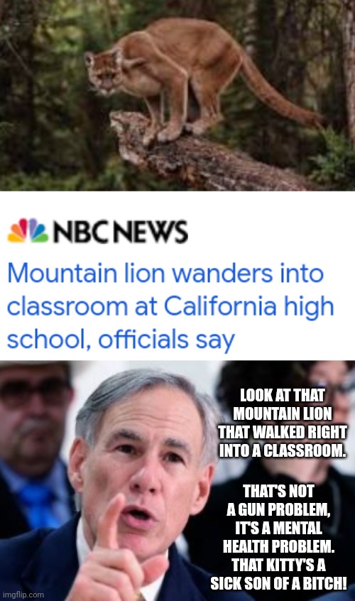 Governor Abbott Calls Mountain Lion Who Terrorized California Classroom A Sick SOB | LOOK AT THAT MOUNTAIN LION THAT WALKED RIGHT INTO A CLASSROOM. THAT'S NOT A GUN PROBLEM, IT'S A MENTAL HEALTH PROBLEM. THAT KITTY'S A SICK SON OF A BITCH! | image tagged in governor,mountain lion,california | made w/ Imgflip meme maker