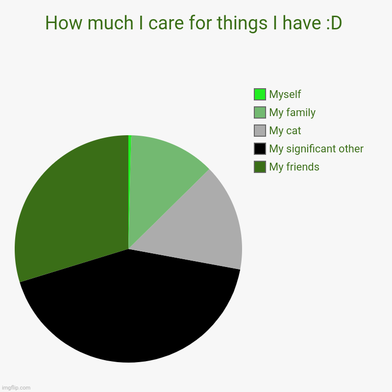 I saw some  other people do it so here ya go. | How much I care for things I have :D | My friends , My significant other, My cat, My family, Myself | image tagged in charts,pie charts | made w/ Imgflip chart maker