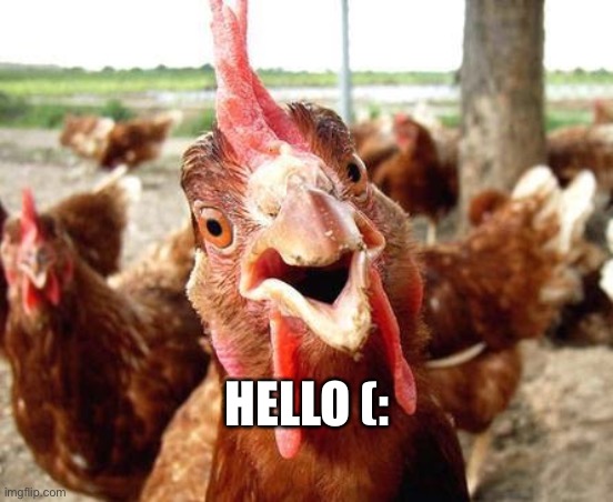 Chicken | HELLO (: | image tagged in chicken | made w/ Imgflip meme maker
