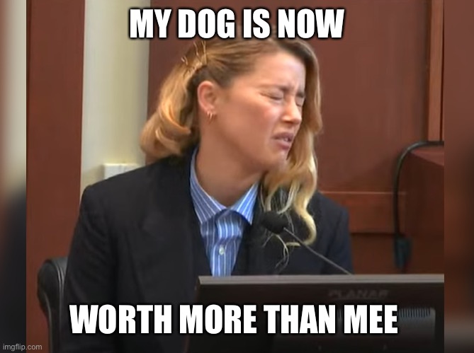 Amber Heard is Broke |  MY DOG IS NOW; WORTH MORE THAN MEE | image tagged in amber heard dog stepped on a bee | made w/ Imgflip meme maker