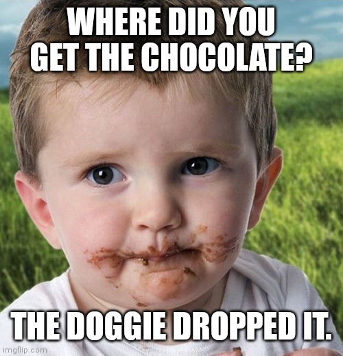 Doggo poop | WHERE DID YOU GET THE CHOCOLATE? THE DOGGIE DROPPED IT. | image tagged in doggo poop | made w/ Imgflip meme maker