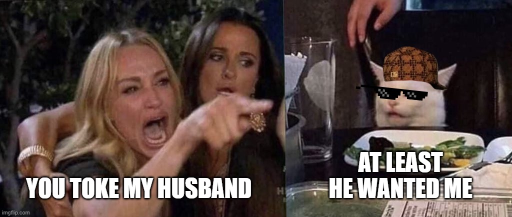 woman yelling at cat | YOU TOKE MY HUSBAND; AT LEAST HE WANTED ME | image tagged in woman yelling at cat | made w/ Imgflip meme maker