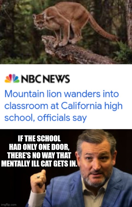 Ted Cruz Says A One Door School Would Have Prevented Mentally Ill Mountain Lion From Entering | IF THE SCHOOL HAD ONLY ONE DOOR, THERE'S NO WAY THAT MENTALLY ILL CAT GETS IN. | image tagged in ted cruz,one door school,mental illness,mountain lion | made w/ Imgflip meme maker