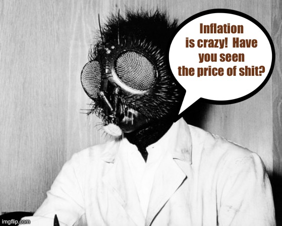 Fly guy | Inflation is crazy!  Have you seen the price of shit? | image tagged in inflation,fly,memes,funny | made w/ Imgflip meme maker
