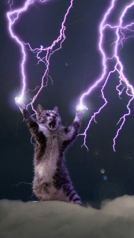 Unlimited Power Cat Blank Meme Template