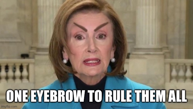 Nancy’s | ONE EYEBROW TO RULE THEM ALL | image tagged in one eyebrow to rule | made w/ Imgflip meme maker