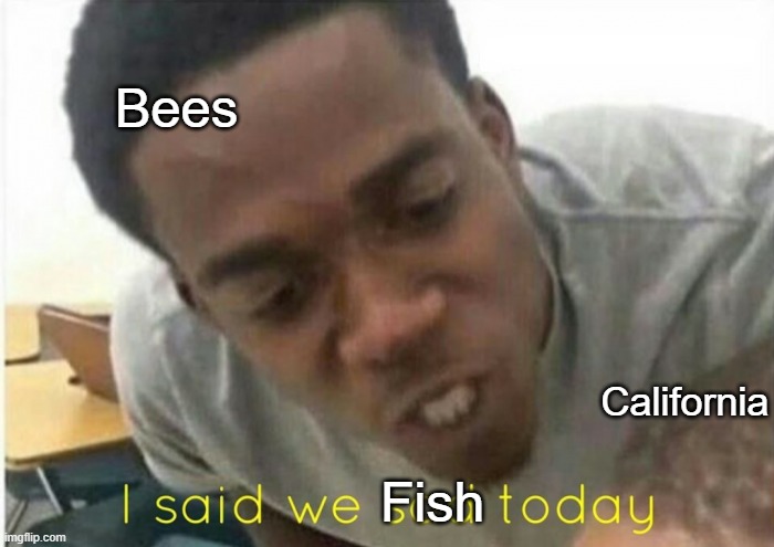 * glares murder hornetly | Bees; California; Fish | image tagged in i said we ____ today | made w/ Imgflip meme maker