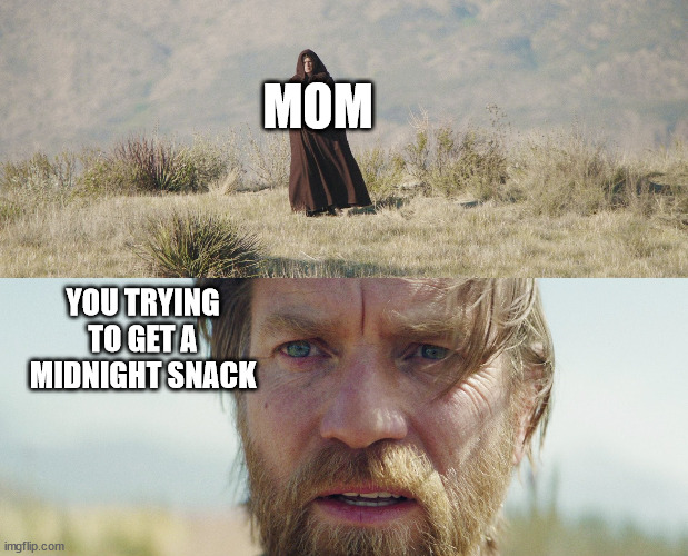  MOM; YOU TRYING TO GET A MIDNIGHT SNACK | image tagged in anakin skywalker,obi wan kenobi,memes,funny,star wars prequels,disney plus | made w/ Imgflip meme maker
