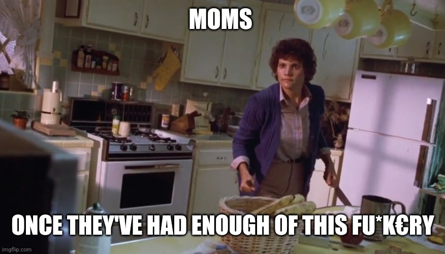 Fed up | MOMS; ONCE THEY'VE HAD ENOUGH OF THIS FU*K€RY | image tagged in fun | made w/ Imgflip meme maker