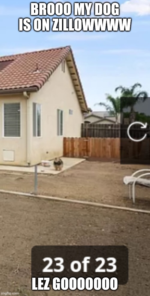 Yeeeeeah | BROOO MY DOG IS ON ZILLOWWWW; LEZ GOOOOOOO | image tagged in doge | made w/ Imgflip meme maker