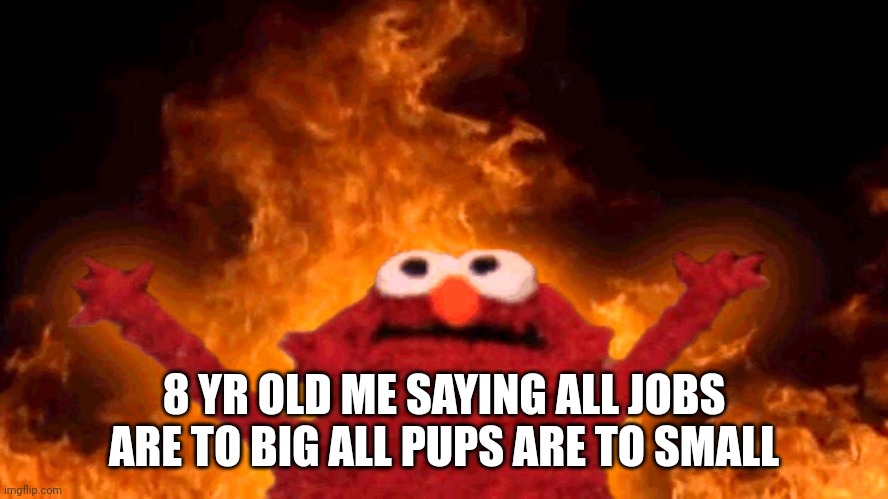 elmo fire | 8 YR OLD ME SAYING ALL JOBS ARE TO BIG ALL PUPS ARE TO SMALL | image tagged in elmo fire | made w/ Imgflip meme maker