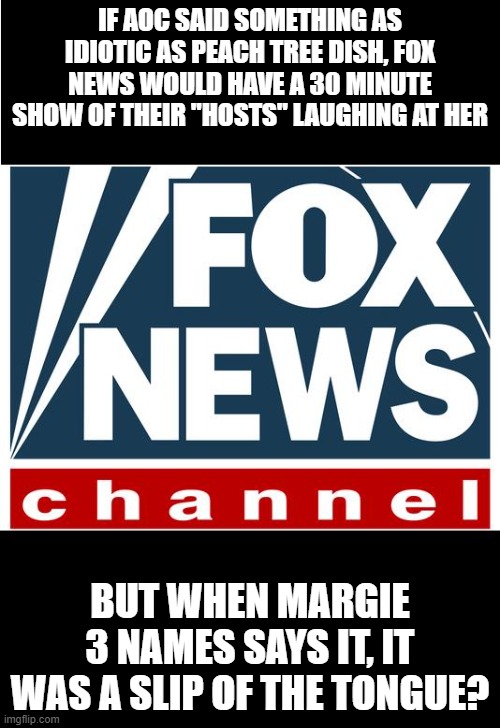 fox news | IF AOC SAID SOMETHING AS IDIOTIC AS PEACH TREE DISH, FOX NEWS WOULD HAVE A 30 MINUTE SHOW OF THEIR "HOSTS" LAUGHING AT HER; BUT WHEN MARGIE 3 NAMES SAYS IT, IT WAS A SLIP OF THE TONGUE? | image tagged in fox news | made w/ Imgflip meme maker