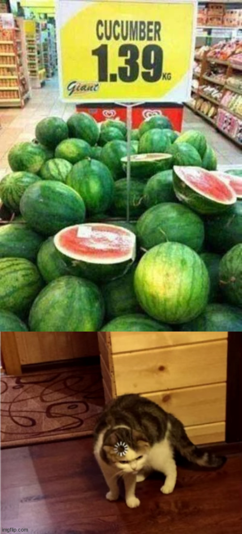 Those don't look like cucumbers too me | image tagged in loading cat hd,watermelon,cucumber | made w/ Imgflip meme maker