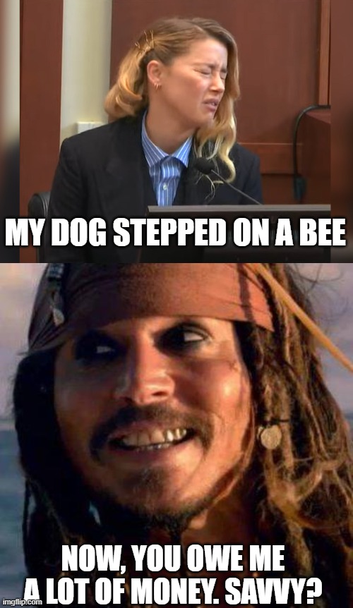 I finally came up with one! | MY DOG STEPPED ON A BEE; NOW, YOU OWE ME A LOT OF MONEY. SAVVY? | image tagged in amber heard dog stepped on a bee | made w/ Imgflip meme maker