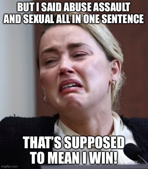 Turd | BUT I SAID ABUSE ASSAULT AND SEXUAL ALL IN ONE SENTENCE; THAT’S SUPPOSED TO MEAN I WIN! | image tagged in turd | made w/ Imgflip meme maker