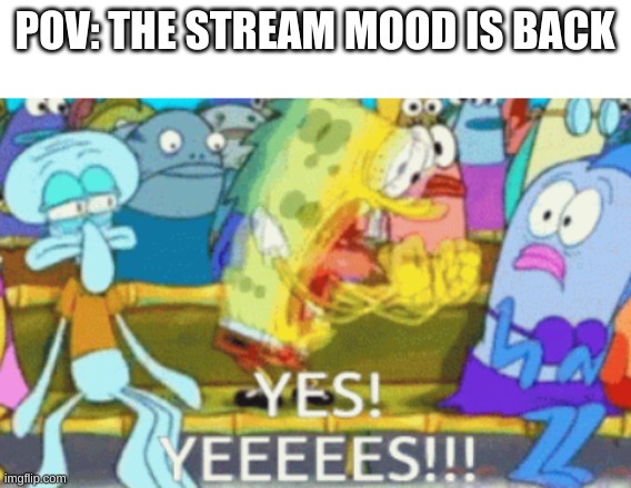 spongebob | POV: THE STREAM MOOD IS BACK | image tagged in spongebob | made w/ Imgflip meme maker