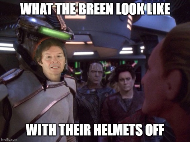 STDS9's The Breen - NEIL Breen! | WHAT THE BREEN LOOK LIKE; WITH THEIR HELMETS OFF | image tagged in breen,neil breen,star trek deep space nine,stds9,ds9 | made w/ Imgflip meme maker