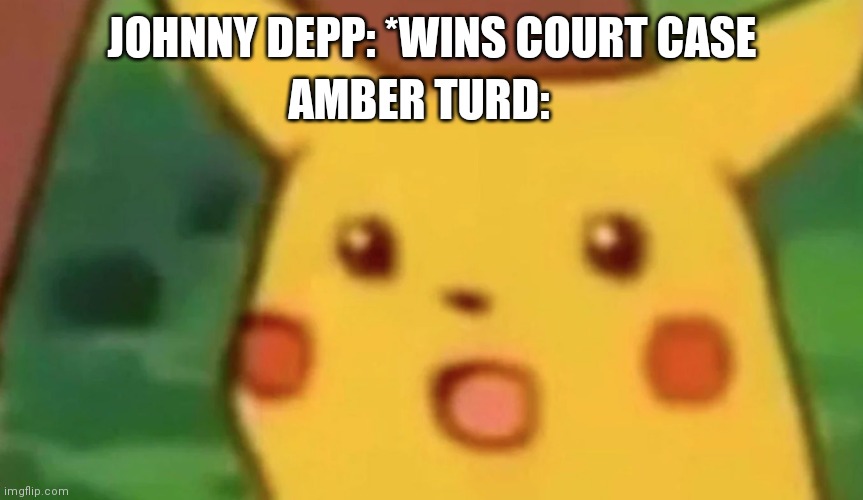 Johnny Has Won | JOHNNY DEPP: *WINS COURT CASE; AMBER TURD: | image tagged in shocked pikachu | made w/ Imgflip meme maker