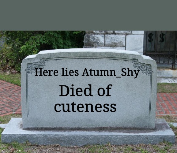 Gravestone | Here lies Atumn_Shy Died of cuteness | image tagged in gravestone | made w/ Imgflip meme maker