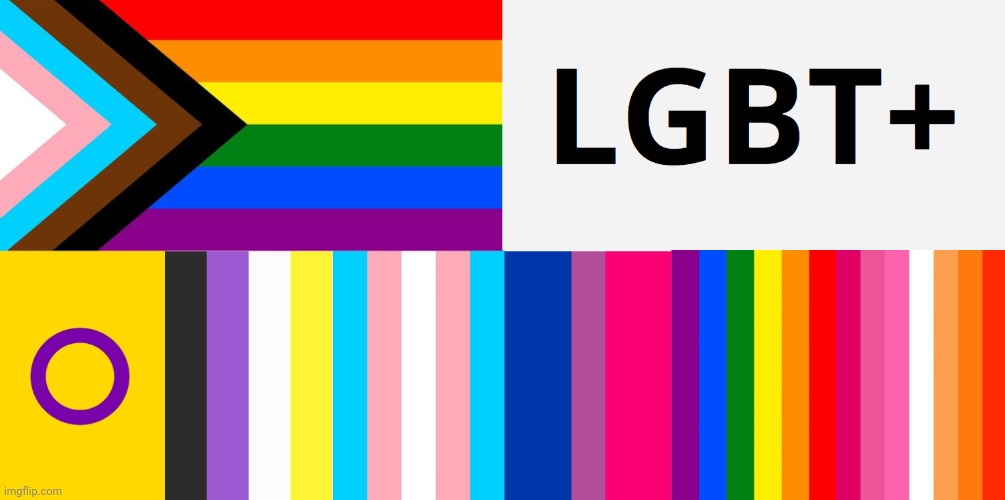 LGBT Hybrid Flag | image tagged in lgbt hybrid flag | made w/ Imgflip meme maker