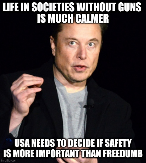 step one: trust government - but keep an eye out for abuse | LIFE IN SOCIETIES WITHOUT GUNS 
IS MUCH CALMER; USA NEEDS TO DECIDE IF SAFETY IS MORE IMPORTANT THAN FREEDUMB | image tagged in musk | made w/ Imgflip meme maker