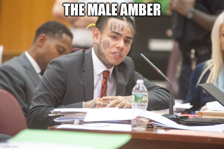 Tekashi 6ix9ine testifies | THE MALE AMBER | image tagged in tekashi 6ix9ine testifies | made w/ Imgflip meme maker