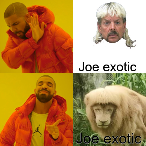 the 80s | Joe exotic; Joe exotic | image tagged in memes,drake hotline bling,drake | made w/ Imgflip meme maker