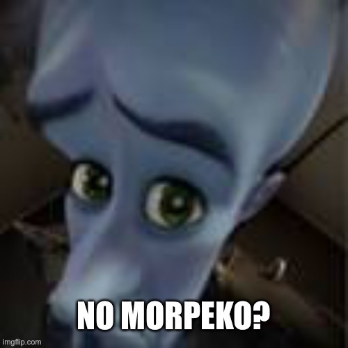 No Morpeko?