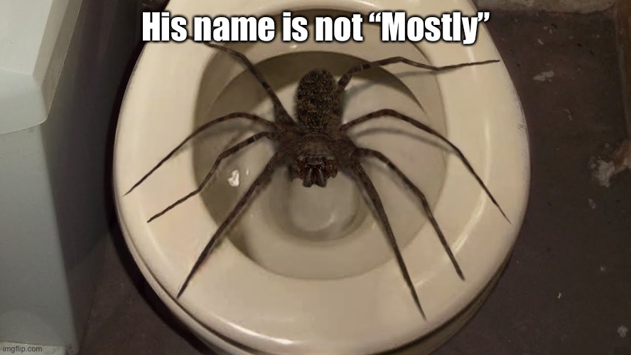 His name is not “Mostly” | made w/ Imgflip meme maker