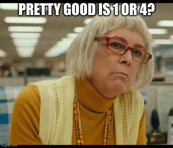Auditor Bitch | PRETTY GOOD IS 1 OR 4? | image tagged in auditor bitch | made w/ Imgflip meme maker