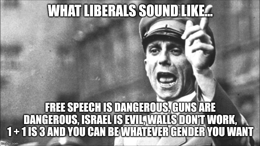 The left always accuses others of what they are guilty of. |  WHAT LIBERALS SOUND LIKE... FREE SPEECH IS DANGEROUS, GUNS ARE DANGEROUS, ISRAEL IS EVIL, WALLS DON'T WORK, 1 + 1 IS 3 AND YOU CAN BE WHATEVER GENDER YOU WANT | image tagged in goebbels,propaganda,left,liars | made w/ Imgflip meme maker