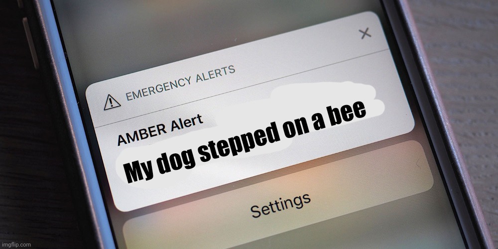 Amber Alert | My dog stepped on a bee | image tagged in memes,amber heard | made w/ Imgflip meme maker