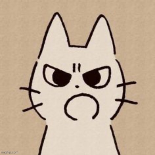 cat | made w/ Imgflip meme maker