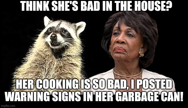 The Raccoon and Maxine Waters | THINK SHE'S BAD IN THE HOUSE? HER COOKING IS SO BAD, I POSTED WARNING SIGNS IN HER GARBAGE CAN! | image tagged in the raccoon and maxine waters | made w/ Imgflip meme maker