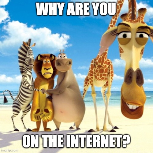 Melman Why Are You | WHY ARE YOU ON THE INTERNET? | image tagged in melman why are you | made w/ Imgflip meme maker