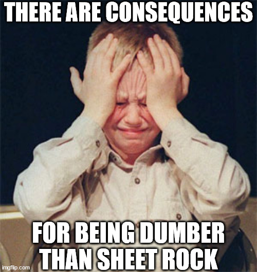 THERE ARE CONSEQUENCES FOR BEING DUMBER THAN SHEET ROCK | made w/ Imgflip meme maker