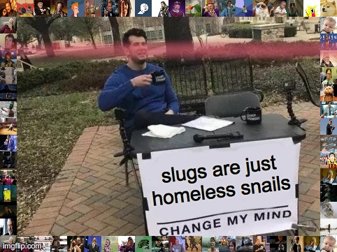 Change My Mind Meme | slugs are just homeless snails | image tagged in memes,change my mind | made w/ Imgflip meme maker