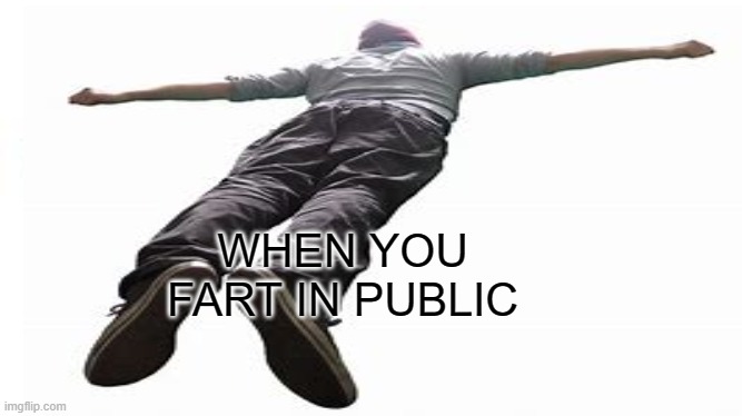bro | WHEN YOU FART IN PUBLIC | image tagged in funny | made w/ Imgflip meme maker