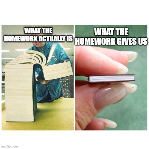 oof | WHAT THE HOMEWORK GIVES US; WHAT THE HOMEWORK ACTUALLY IS | image tagged in big book vs little book | made w/ Imgflip meme maker