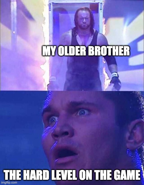 What the game sees: | MY OLDER BROTHER; THE HARD LEVEL ON THE GAME | image tagged in randy orton undertaker,games,big brother | made w/ Imgflip meme maker
